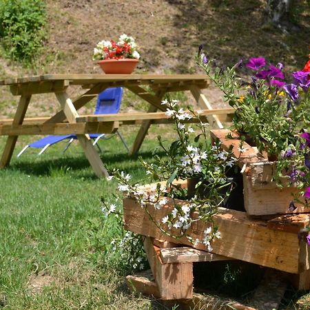 Agriturismo Dalla Natura La Salute Giustino Exteriér fotografie