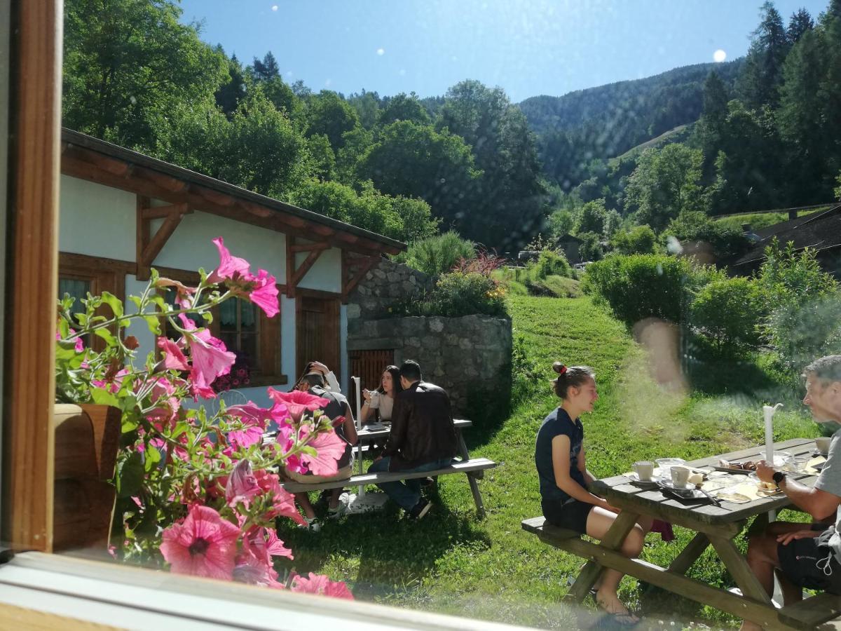 Agriturismo Dalla Natura La Salute Giustino Exteriér fotografie