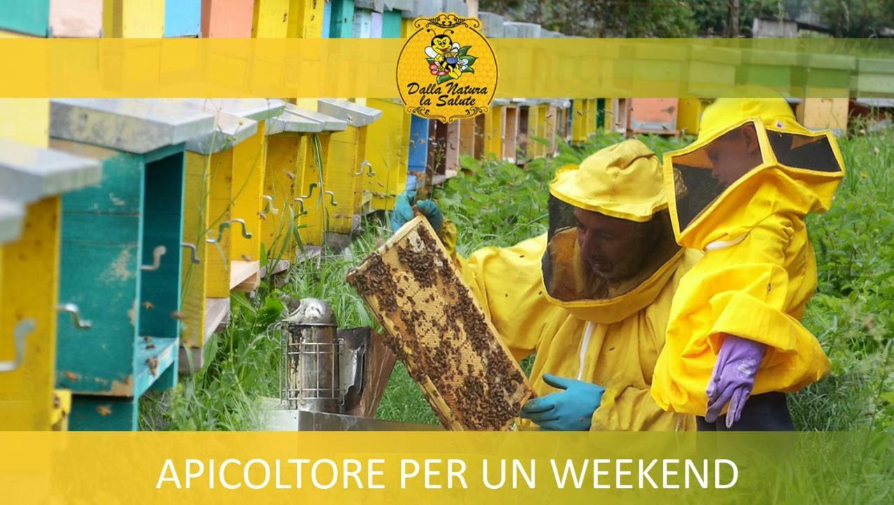 Agriturismo Dalla Natura La Salute Giustino Exteriér fotografie
